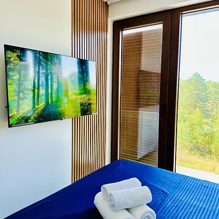 Apartment Indigo Royale Borovi