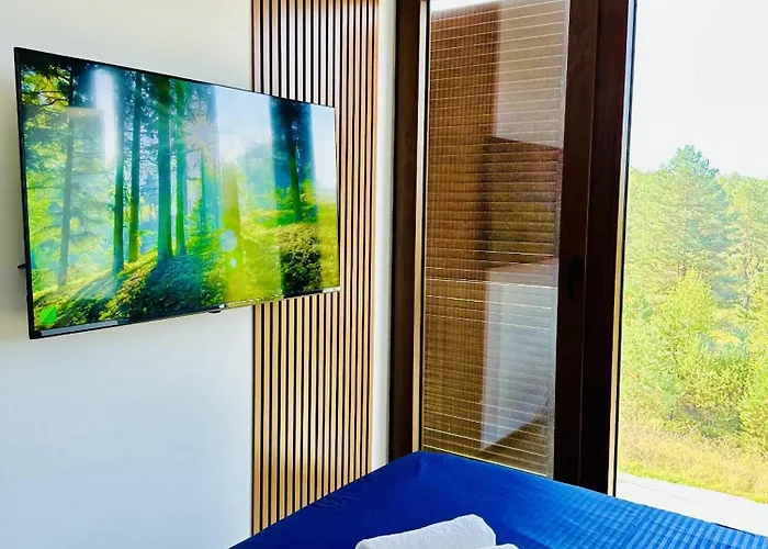 Апартаменты Indigo Royale Borovi